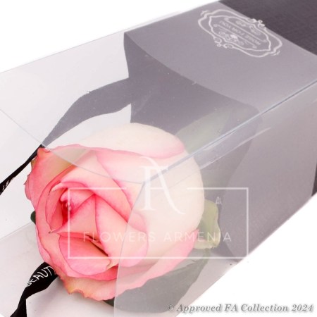Single Pink Rose