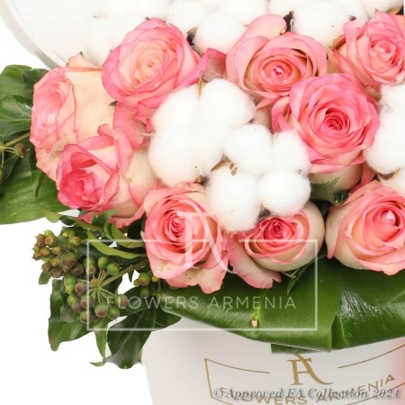 Pink Roses