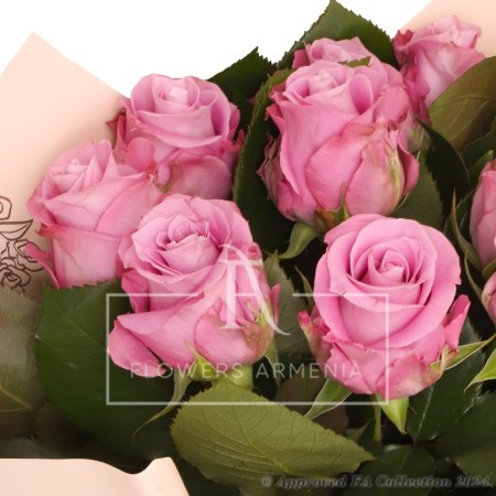 Rose Delight