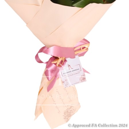 Rose Delight
