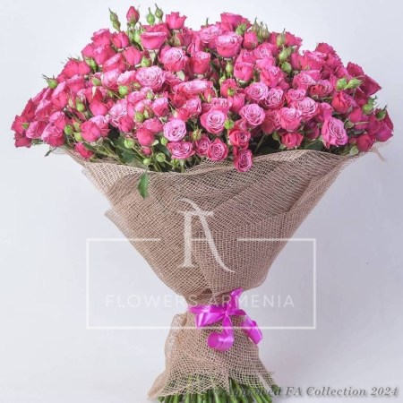 Pink Candy