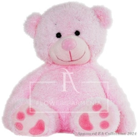 Ideally Pink Bear
