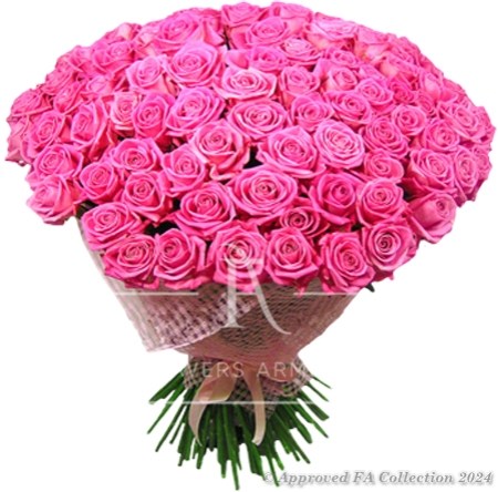 101 Pink Roses