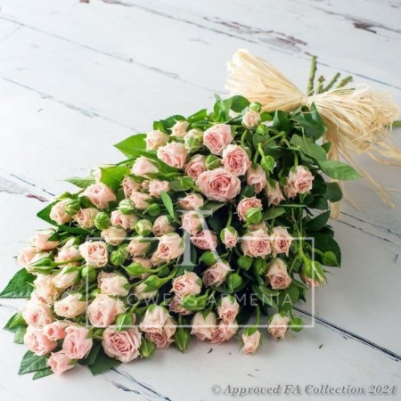 27 Hot Pink Spray Roses