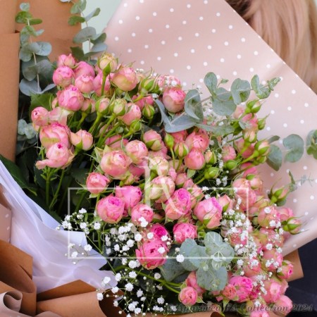 Pink Elegance