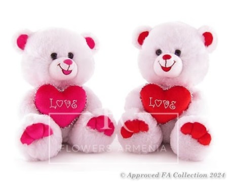 Bear Fell in Love