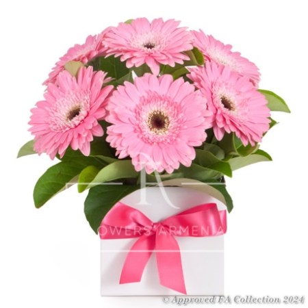 Pretty Pink Present