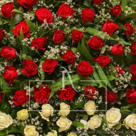 Eternal Peace Tribute