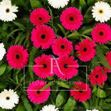 In Memory of Love and Respect