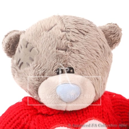 Bear With One Red Rose