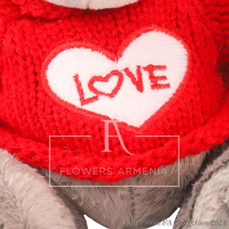 Bear With One Red Rose