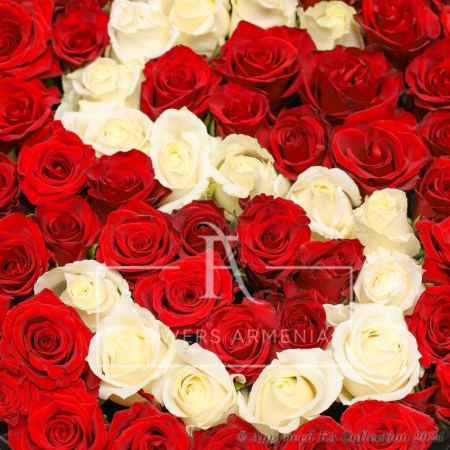 Box of Red and White Roses