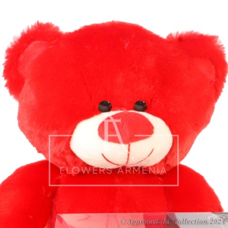 Red Teddy with Rafaello