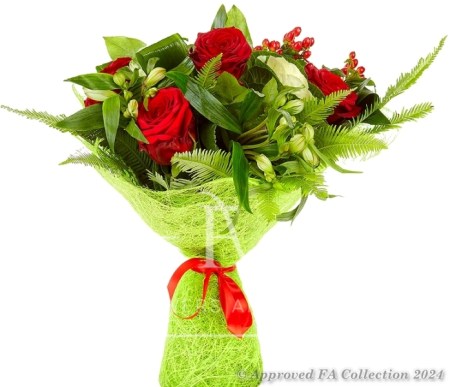 Red & White Roses