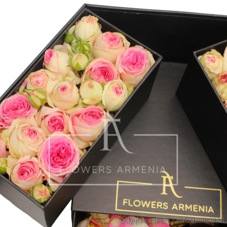 Pink Roses and Chocolate