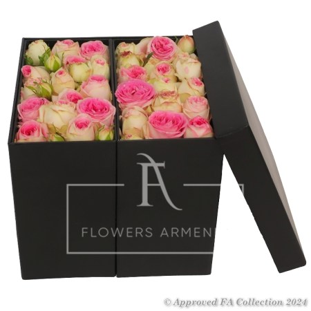 Pink Roses and Chocolate