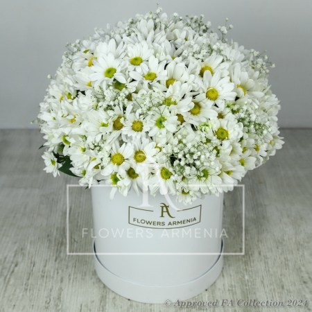 Blissful Petal Cascade