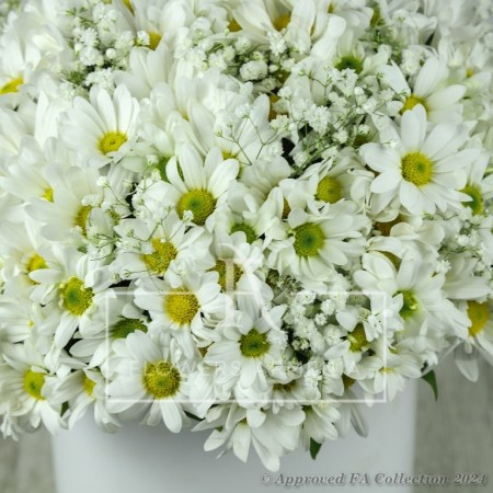 Blissful Petal Cascade