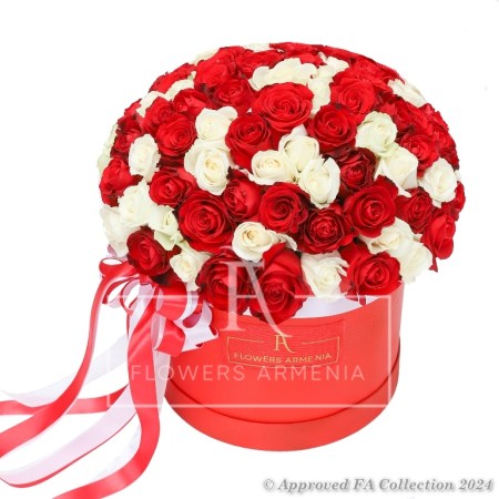 Red and white Roses