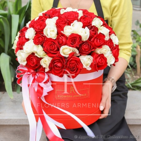 Red and white Roses