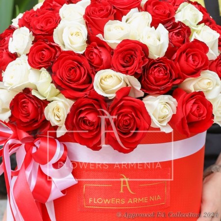 Red and white Roses