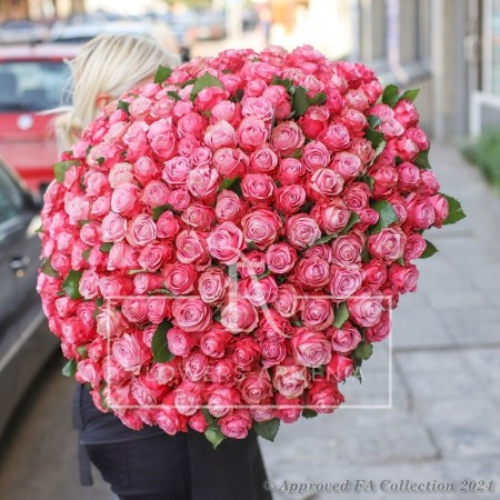 Luxery pink Roses