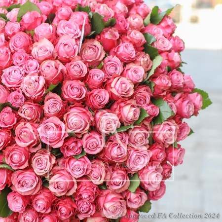Luxery pink Roses