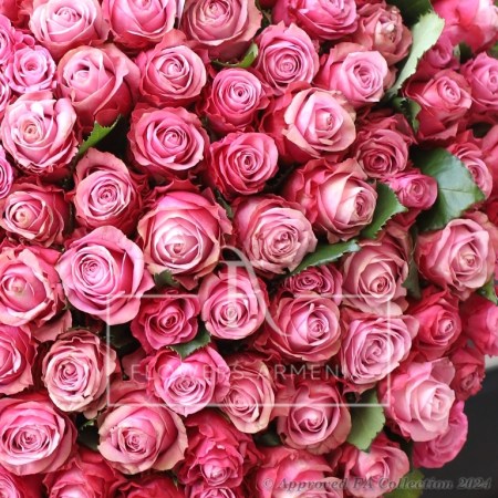 Luxery pink Roses