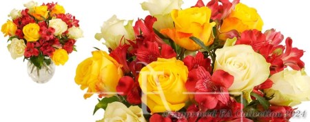 Roses Inside of Bloom