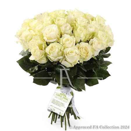 Bouquet «Spirit of Freshness»