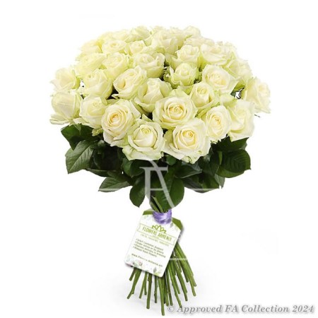 Bouquet «31 White Roses»