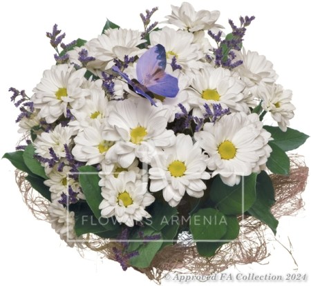 Blooming Daisies