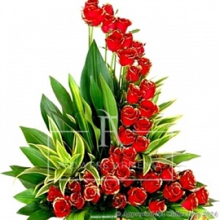 A Waterfall of 51 Red Roses