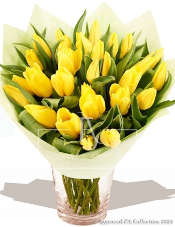27 Yellow Roses