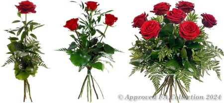 A Single Rose