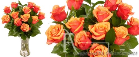 15 Peach Roses Bunch