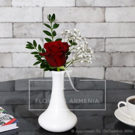 Romance Rose Reflections