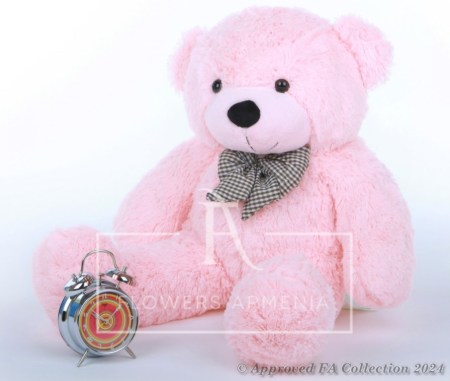 Pink Teddy