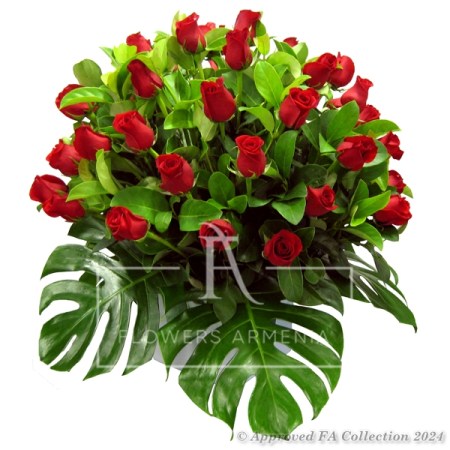 51 Wonderful Red Roses