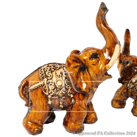 Set of Elephant