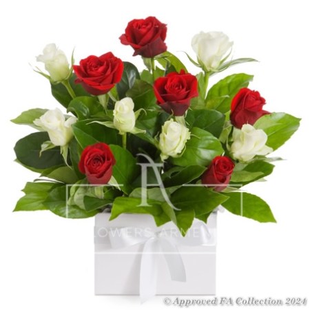 15 Roses Delight