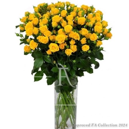 Sunshine Yellow