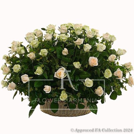 Sympathy Basket or 70 White Roses