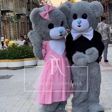 Teddy Bear