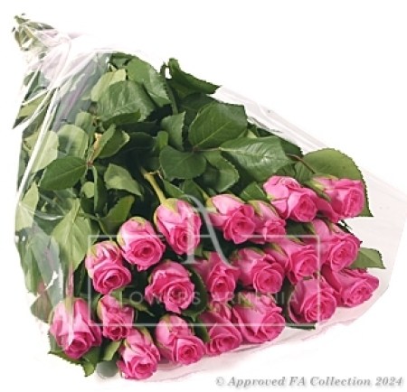 Assorted Pink Roses