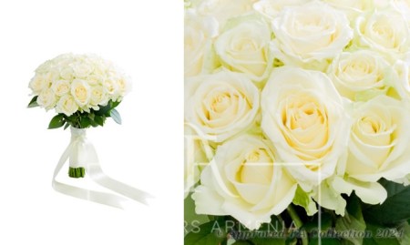Seductive White Roses