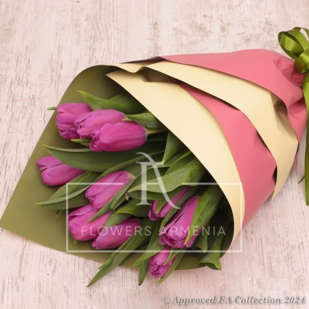 Purple Tulips