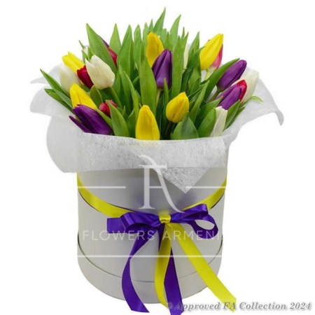 Happy Tulips Box