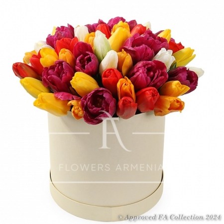 45 bright tulips in box