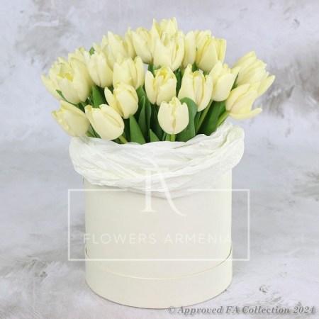 A box of 31 White Tulips